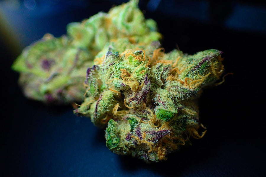 The Botany of a Bad Law: How CBD-to-THC Conversion Broke Cannabis