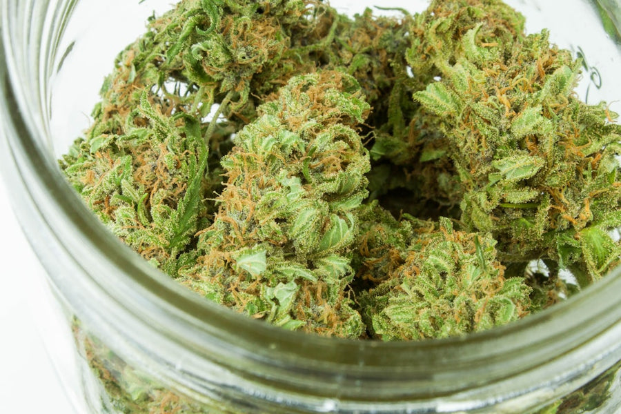 Why Your COA's THC Number Won't Match the Jar Six Months Later