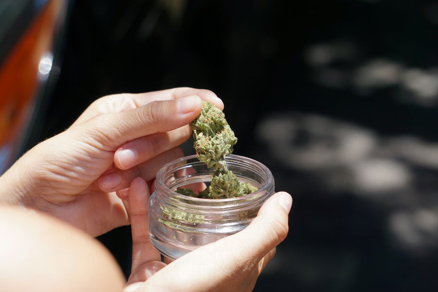 Canopy Growth Strikes UK Distribution Deal With Grow Group
