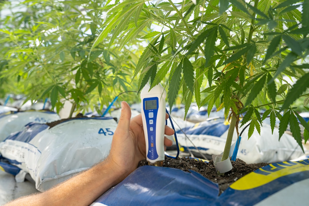 Fixing pH Swings Before They Wreck Your Nutrient Uptake