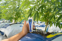Fixing pH Swings Before They Wreck Your Nutrient Uptake