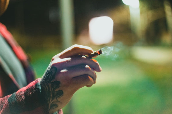 Daily Marijuana Use Now Tops Alcohol and Cigarettes, Federal Data Shows