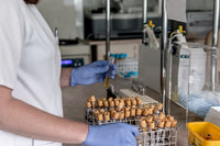 Heavy Metals in Cannabis: Why Labs Test Soil and Inputs