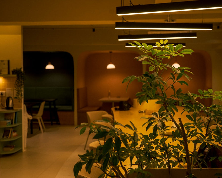 Can AI Predict Cannabinoid Yield Before Flowers Even Set?