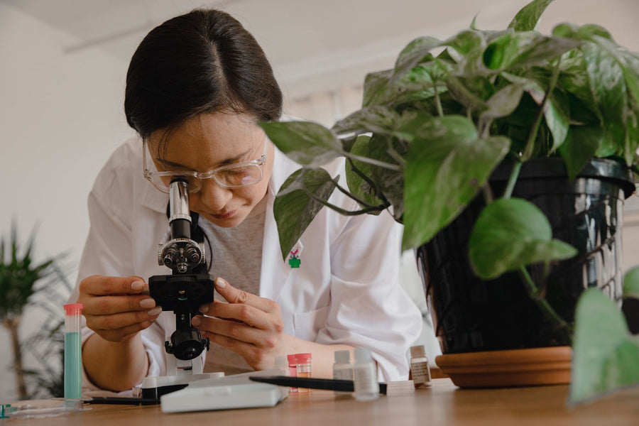 CRISPR Cannabis: Gene Editing's Long Road to Redefining Strains