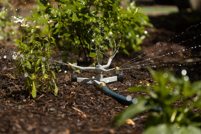 Watering Deeply: Hydrating Big Outdoor Root Zones the Right Way