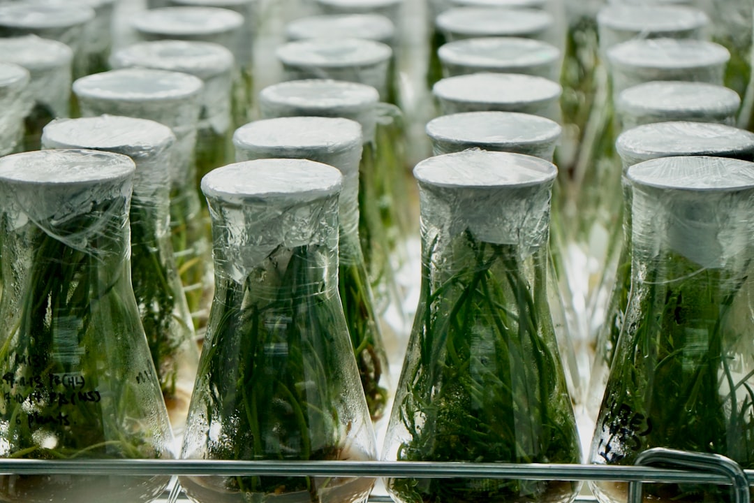 Pollen Chucking vs. Controlled Breeding: What's the Difference