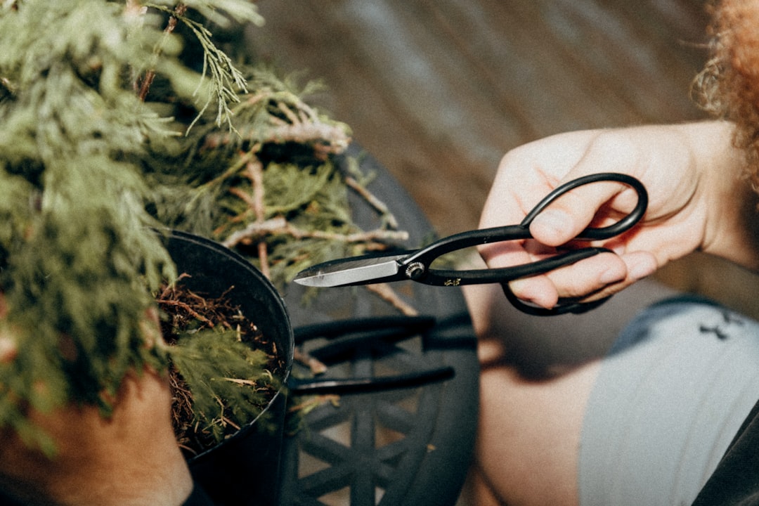 Trellising Techniques for Supporting Heavy Outdoor Branches