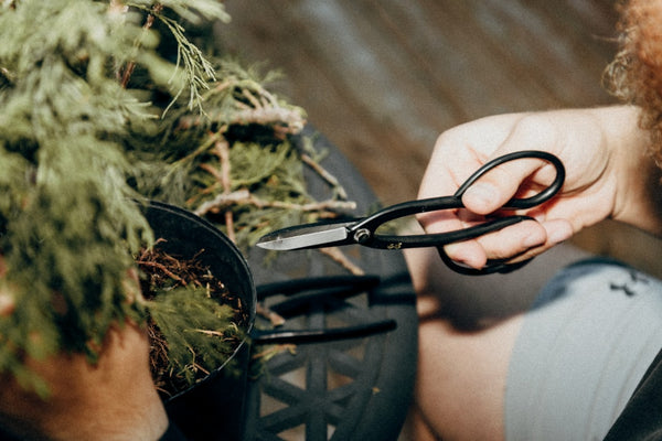 Trellising Techniques for Supporting Heavy Outdoor Branches