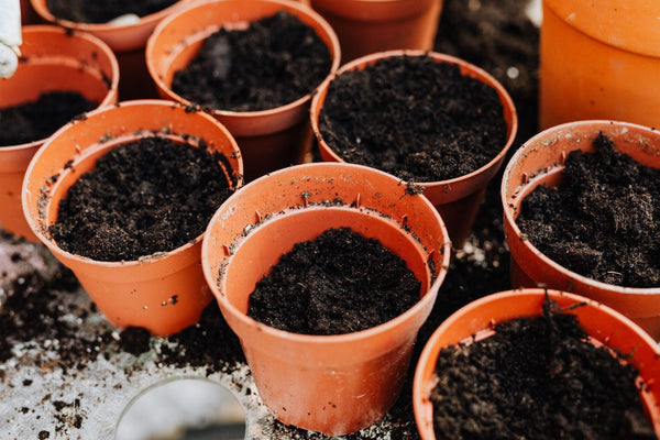 Nutrient Choices That Cut Equipment and Energy Costs