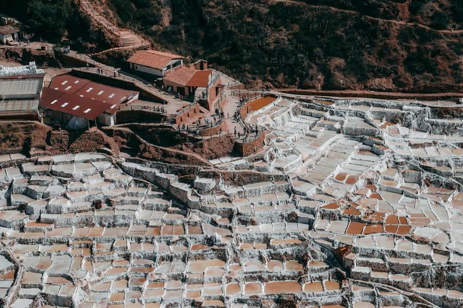 Peru's Medical Cannabis Export Push: Big Potential, Small Numbers So Far