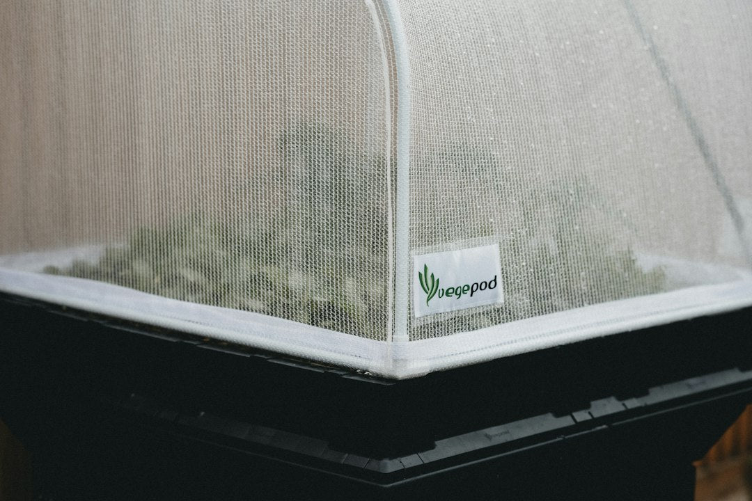 Germinating Seeds in a Grow Box: A Step-by-Step Setup