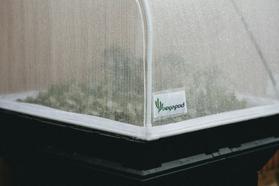 Germinating Seeds in a Grow Box: A Step-by-Step Setup