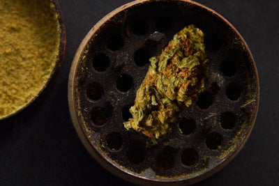 What It Would Take for USDA to Certify Cannabis Seed