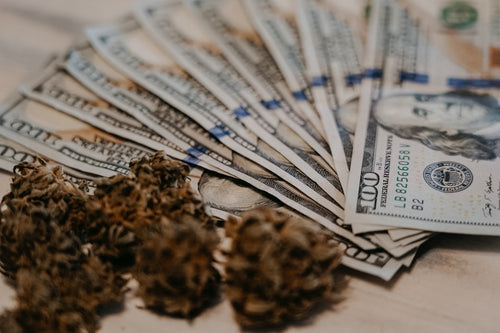 Yale Study: Federal Marijuana Legalization Could Net $111B in Taxes