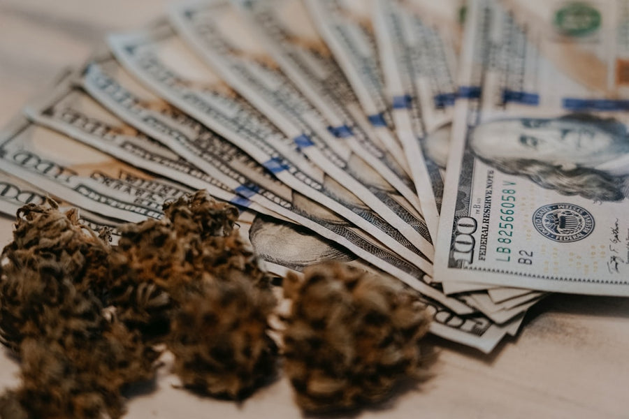 Yale Study: Federal Marijuana Legalization Could Net $111B in Taxes