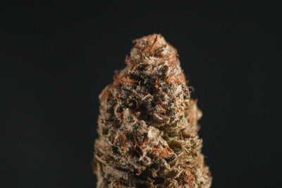 Terpene Science: What's Real, What's Marketing