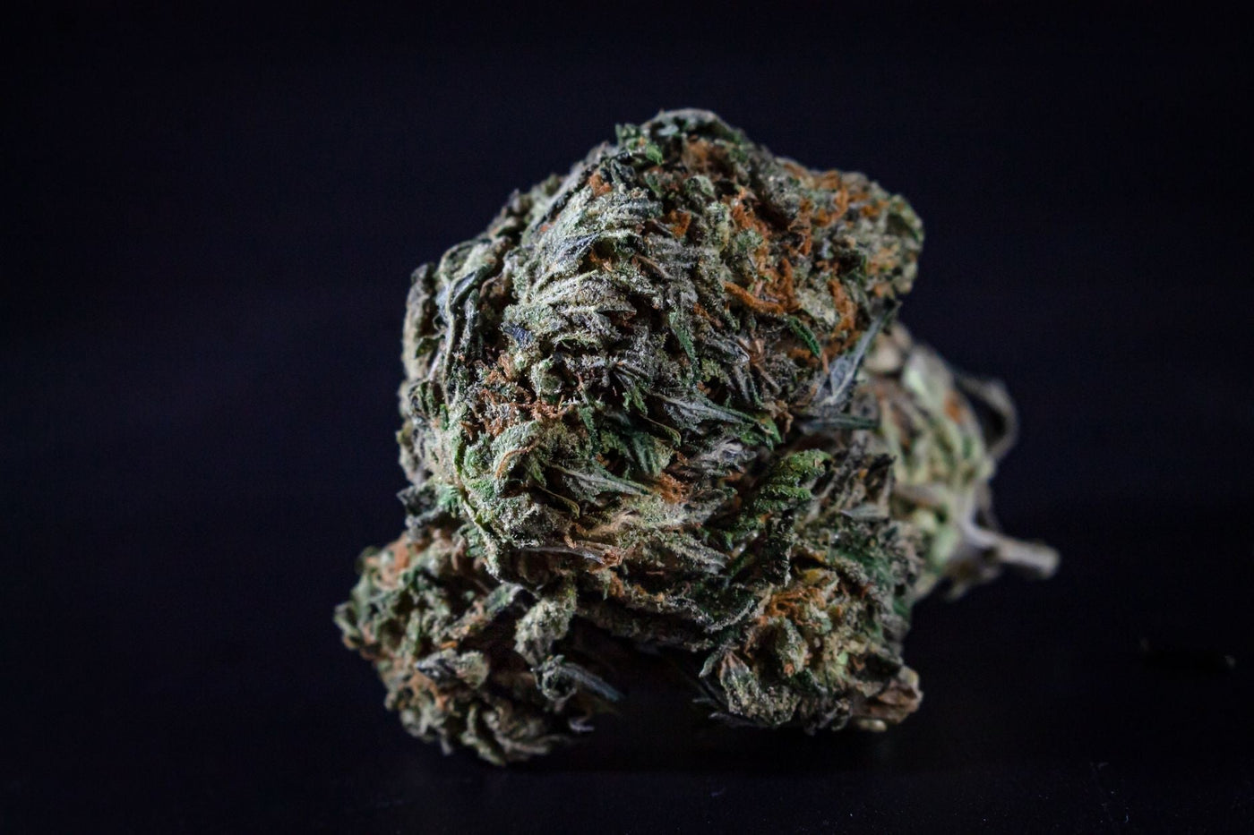 Trichomes and Concentrate Quality: What Actually Matters