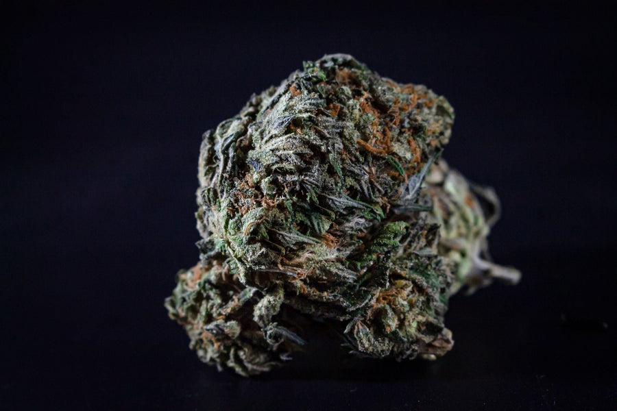 Trichomes and Concentrate Quality: What Actually Matters