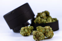 How to Choose the Right Trim for Solventless Concentrates
