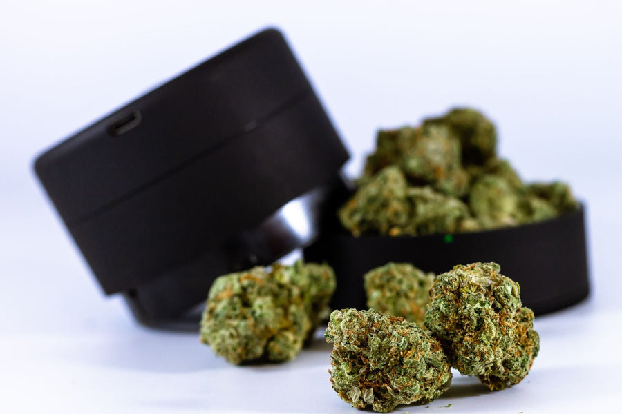 How to Choose the Right Trim for Solventless Concentrates