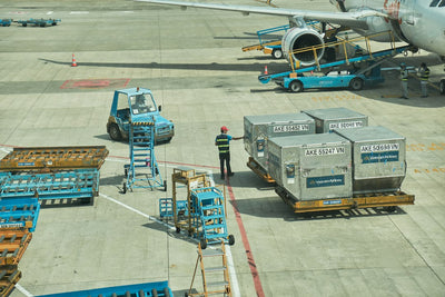 Ethiopia's Flower Freight Empire: A Future Cannabis Export Route?