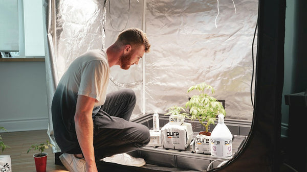 DIY Mylar vs Panda Film: Real PAR Readings in a Closet Grow