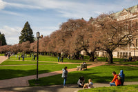 Campus Arrests Drop Sharply After States Legalize Marijuana