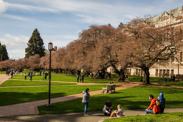 Campus Arrests Drop Sharply After States Legalize Marijuana