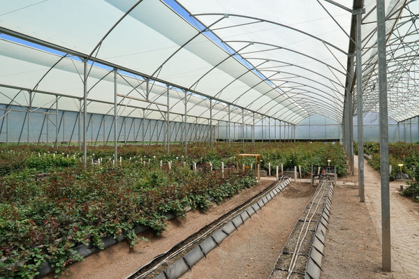 Reservoir & Dosing Systems: Building Consistent Cannabis Feeding