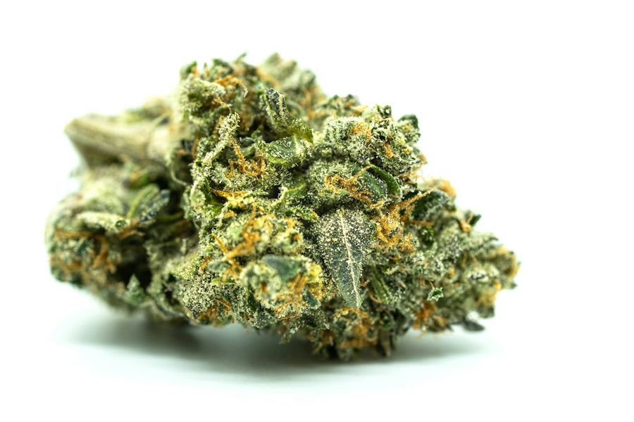 Why Your Bud Density Is Suffering (And How to Fix It)