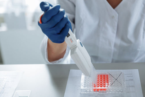 Cannabis Genome Mapping: Toward a Reference Atlas for Breeding
