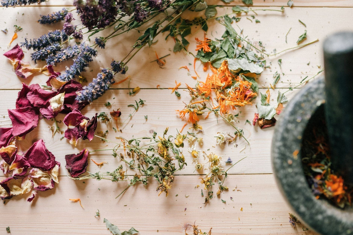 Cannabis in Traditional Chinese Medicine: A 2,000-Year History
