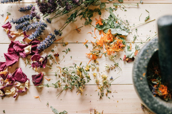 Cannabis in Traditional Chinese Medicine: A 2,000-Year History