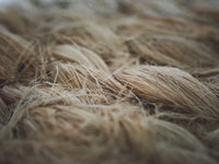 Māori Hemp Enterprises and the Treaty in New Zealand