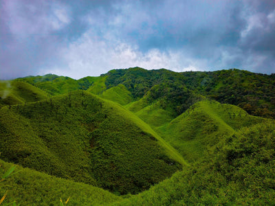 Nagaland's Cannabis Debate Tests Article 371A's Limits