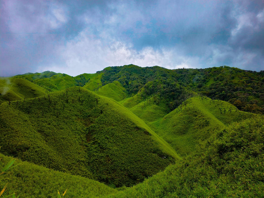 Nagaland's Cannabis Debate Tests Article 371A's Limits
