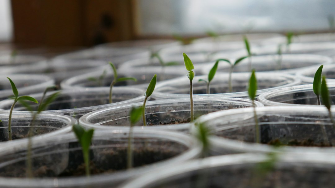 Organic Pest Control for Grow Tents: What Actually Works in 2026
