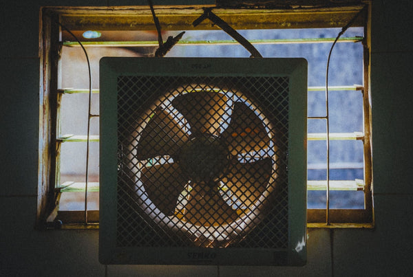 Grow Tent Running Hot? Fix Your Airflow This Summer