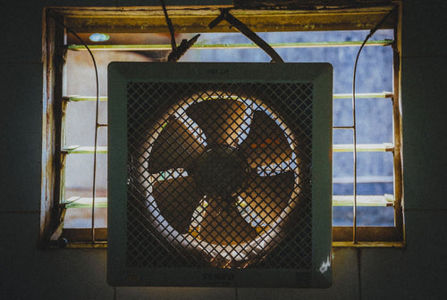 How to Choose the Right Grow Tent Ventilation Setup