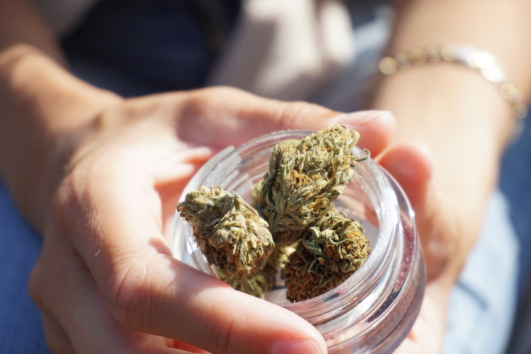 Millions on Probation Still Can't Legally Use Medical Marijuana