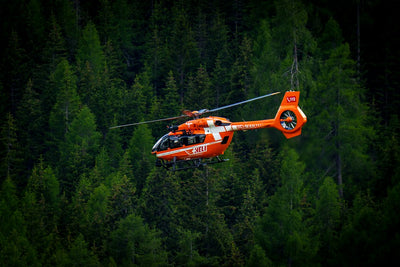 Outsmarting the Sky: How Growers Adapted to CAMP's Helicopters and Satellites