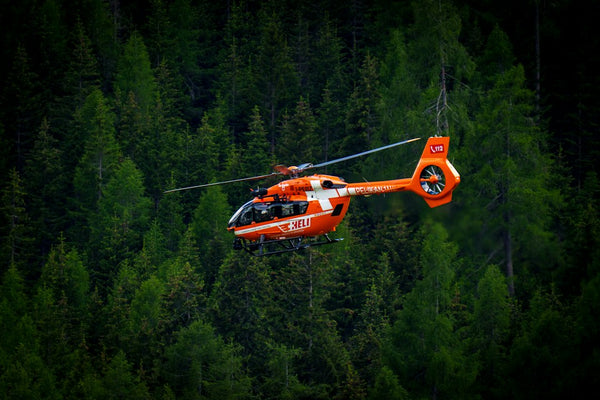 Outsmarting the Sky: How Growers Adapted to CAMP's Helicopters and Satellites