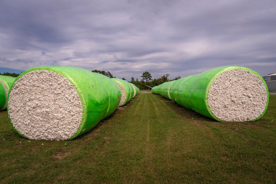 Can Kentucky Hemp Fill Europe's Coming Fiber Gap?