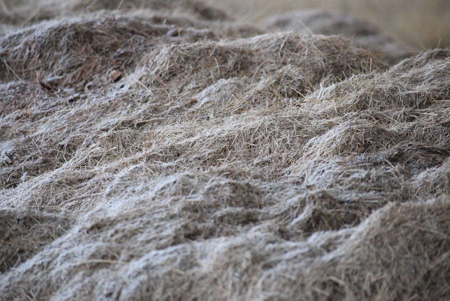 Hemp Batteries: Real Chemistry, Slow-Moving Commerce