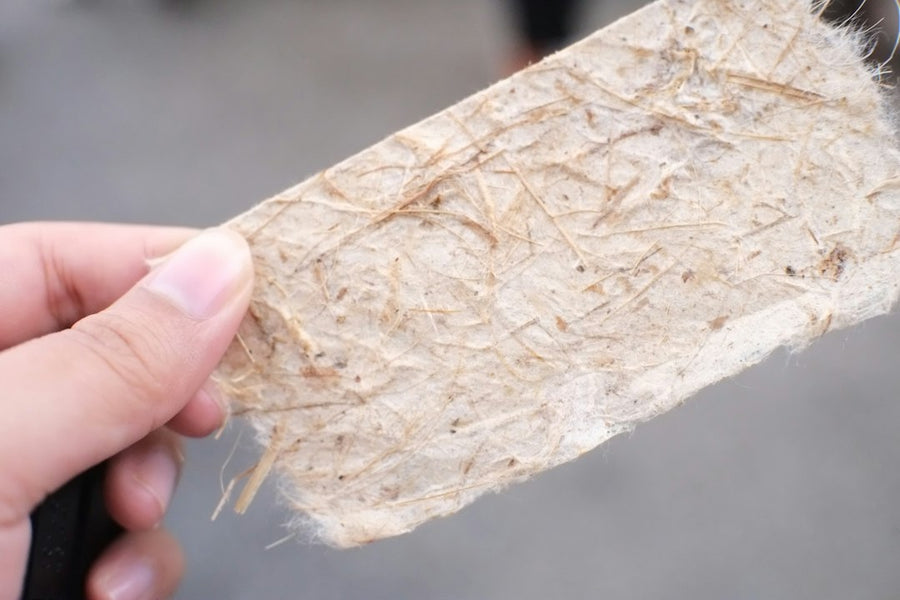 Hemp Meets Recycled Carbon Fiber: Cheaper Lightweight Panels Ahead