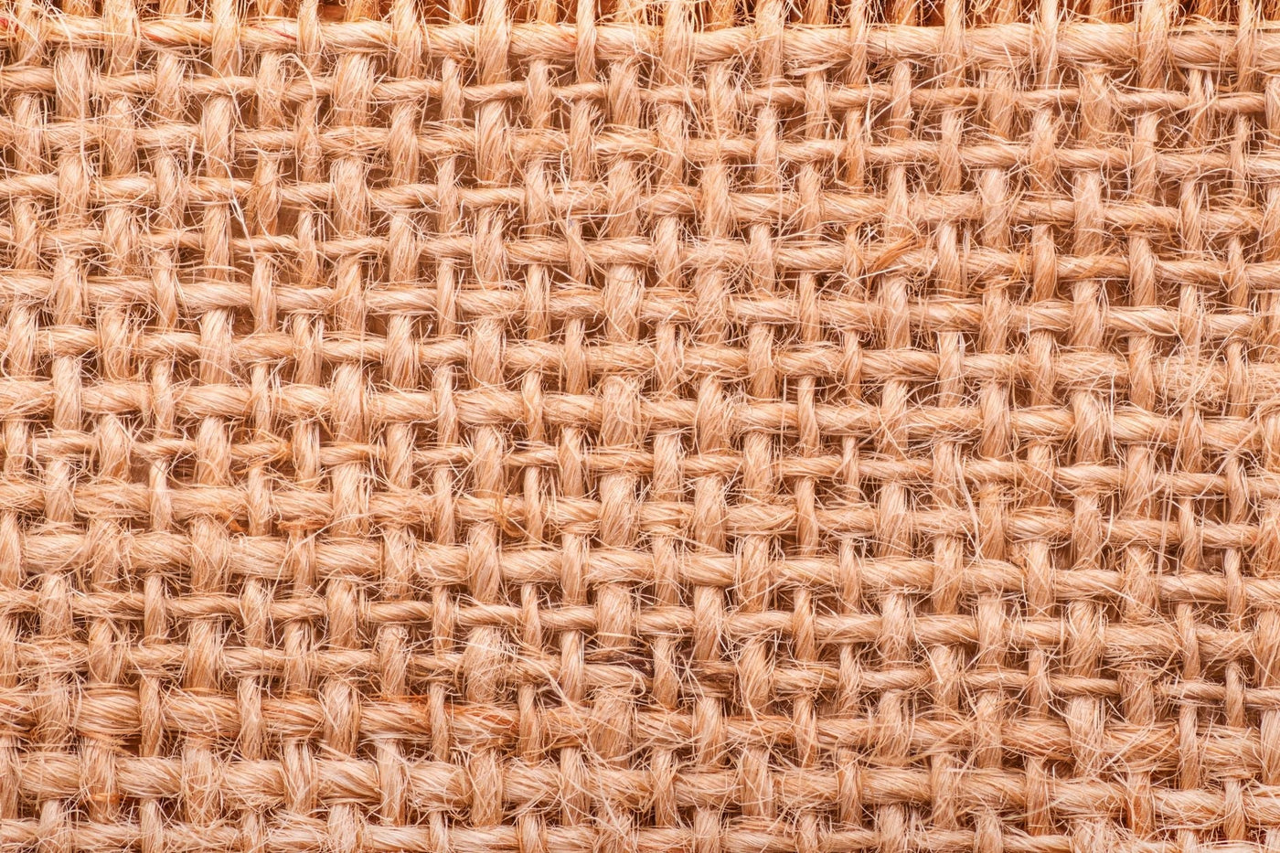 Hemp Textiles Just Solved Their Cost Problem