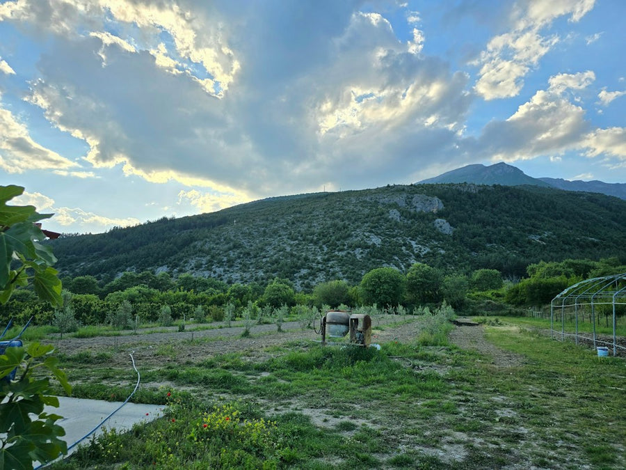 Greece Widens Medical Cannabis Trials at ELGO-DIMITRA