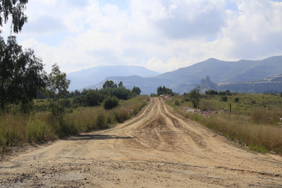 Inside South Africa's Hemp Master Plan and Its Rural Payoff