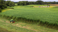 China's Hemp Empire: Inside the World's Top Producer
